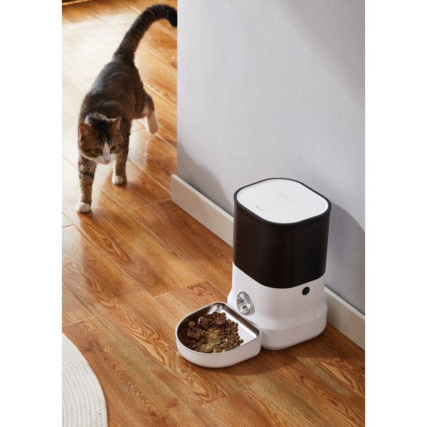 DOGNESS Automatic Feeder Wayfair
